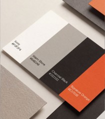 color brand system