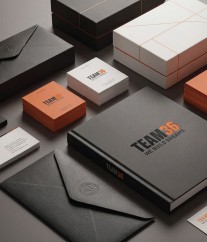 visual brand system